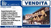 Scardaci
