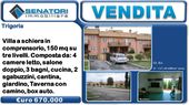 Senatori Immobiliare